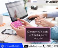 Globtier Infotech Inc image 10